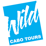 Wild Cabo Tours logo