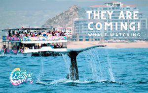 a large ship in a body of water