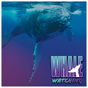 Humpback whale underwater