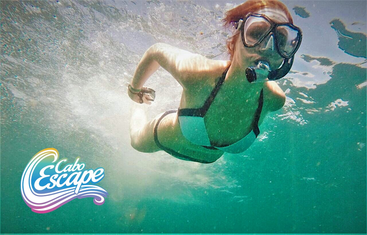 a person diving in water with snorkel gear