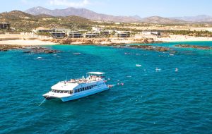 a catamaran in a large body of water