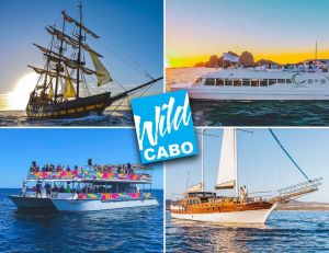 an array of boats in a large body of water