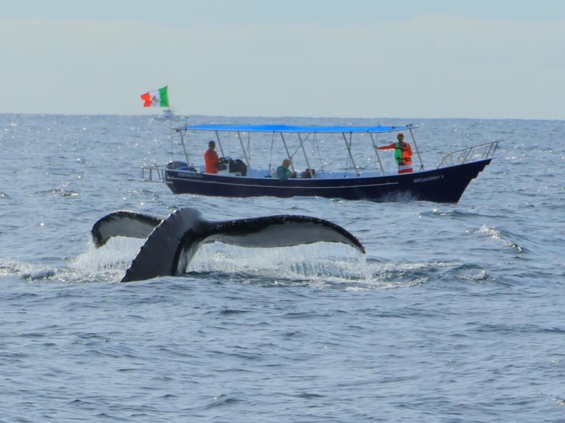 Whale tail above ocean water with a boat and people in the background.