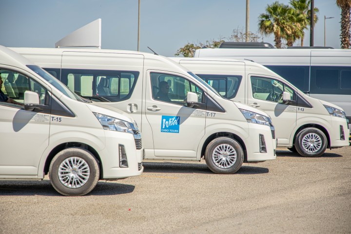 Row of parked white tour vans with palm trees and clear sky in the background.