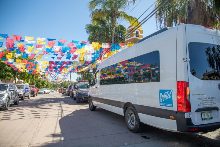 White tour van parked on street under colorful flags with palm trees around.
