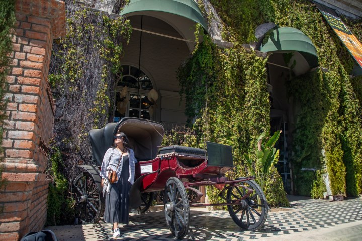 Woman standing by a red vintage carriage in front of ivy-covered building.