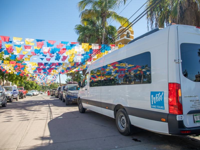 A street with colorful flags above and a white tour van parked under palm trees.