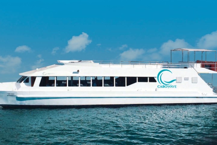 White catamaran with 'Cabo Wave' logo on ocean under blue sky.
